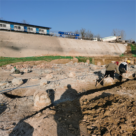 德州老司机成人网