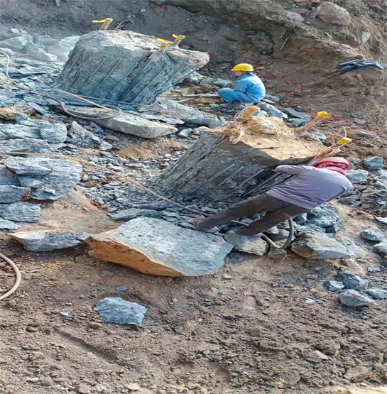 山東老司机成人网