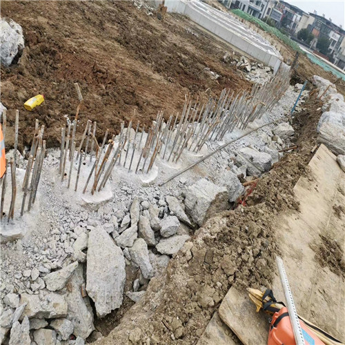 菏澤老司机成人网