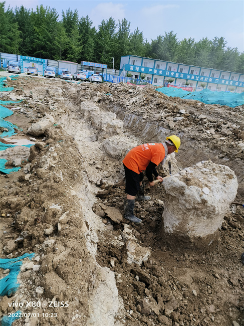 濟南老司机成人网