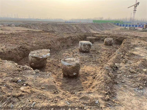 新沂老司机成人网