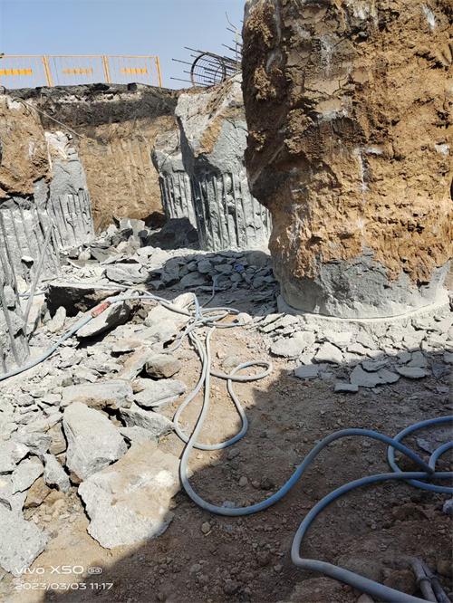 岱嶽老司机成人网