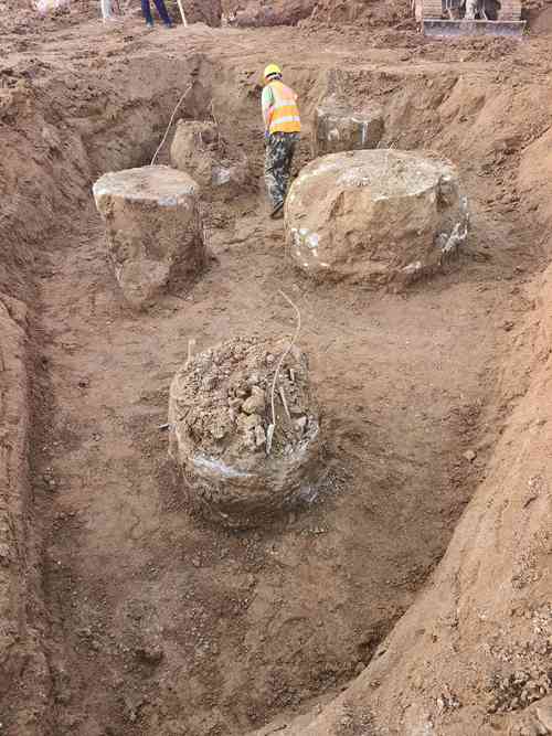 鄒城老司机成人网