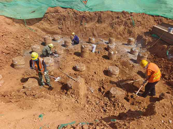 專業老司机成人网