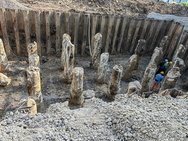 微山專業老司机成人网